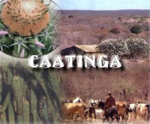 eco_caatinga