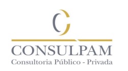 logo-consul