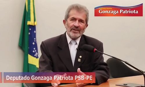 Gonzaga Patriota já apresentou mais de 200 projetos de lei na Câmara dos Deputados